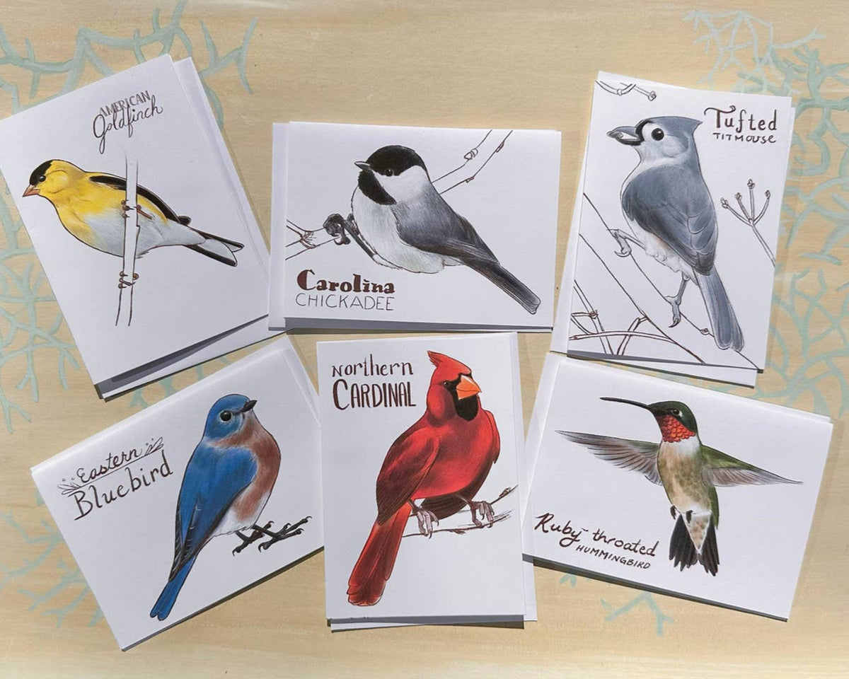 Birding Rack Card Eastern Backyard Bird Cards – Urban Birding Supply
