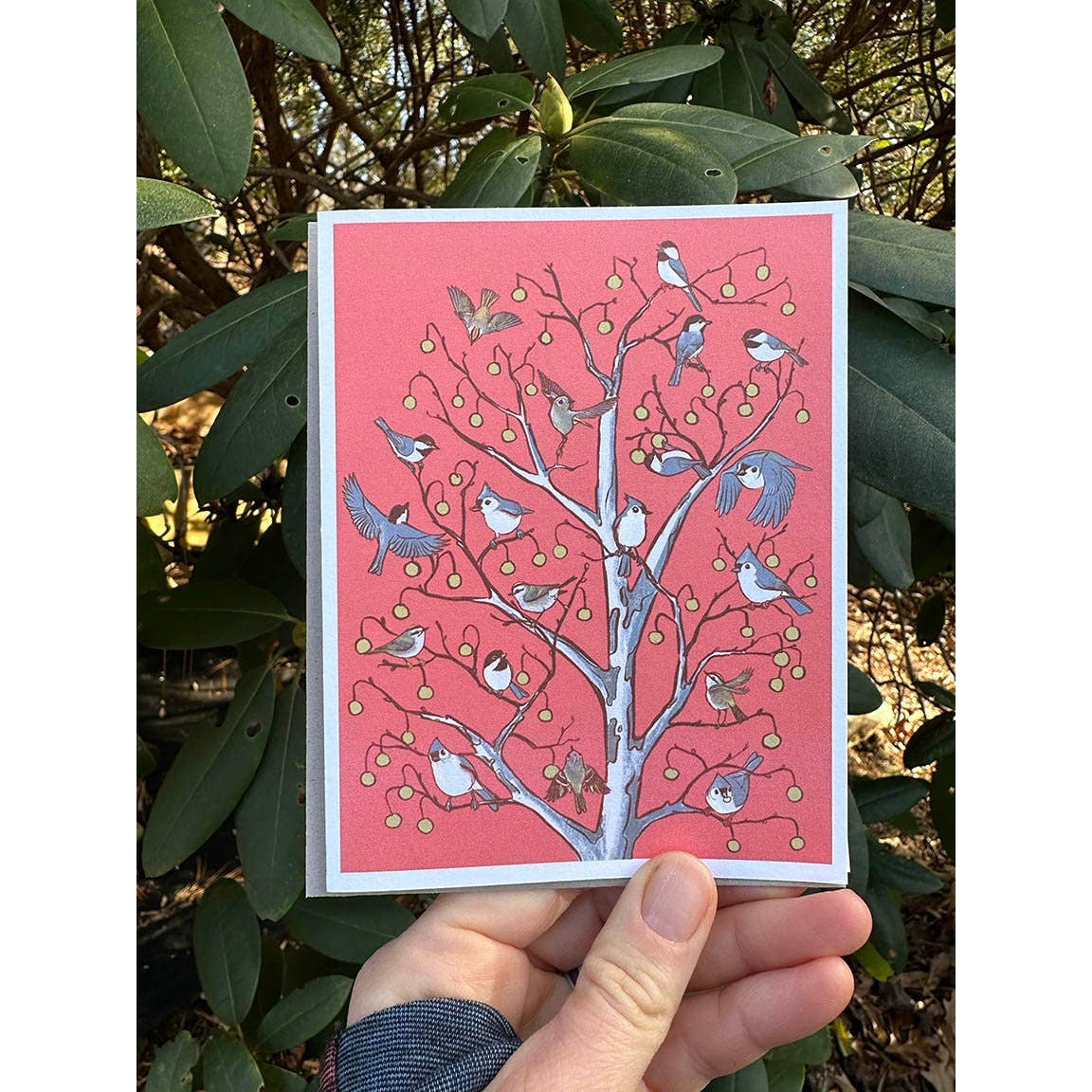 Birding Rack Card Bird Decorated Tree Cards – Urban Birding Supply