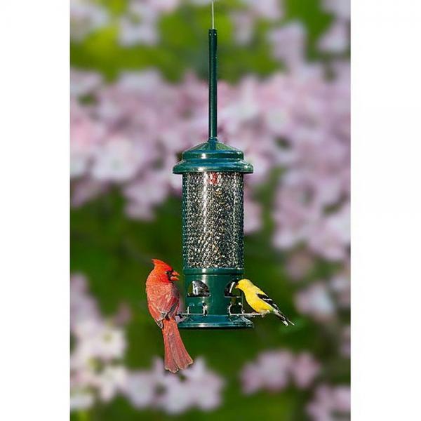 Squirrel Buster Standard